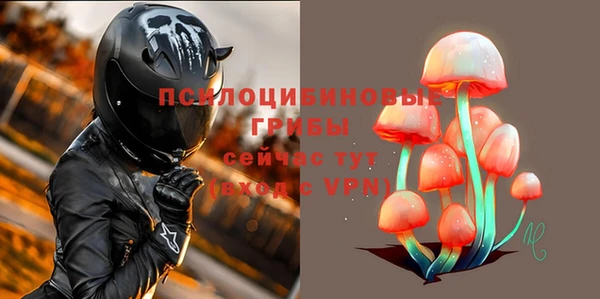ECSTASY Володарск