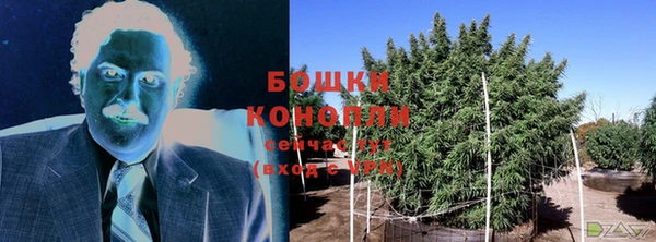 МДПВ Волоколамск
